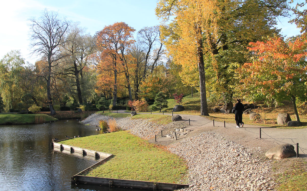 японский сад в кадриорге