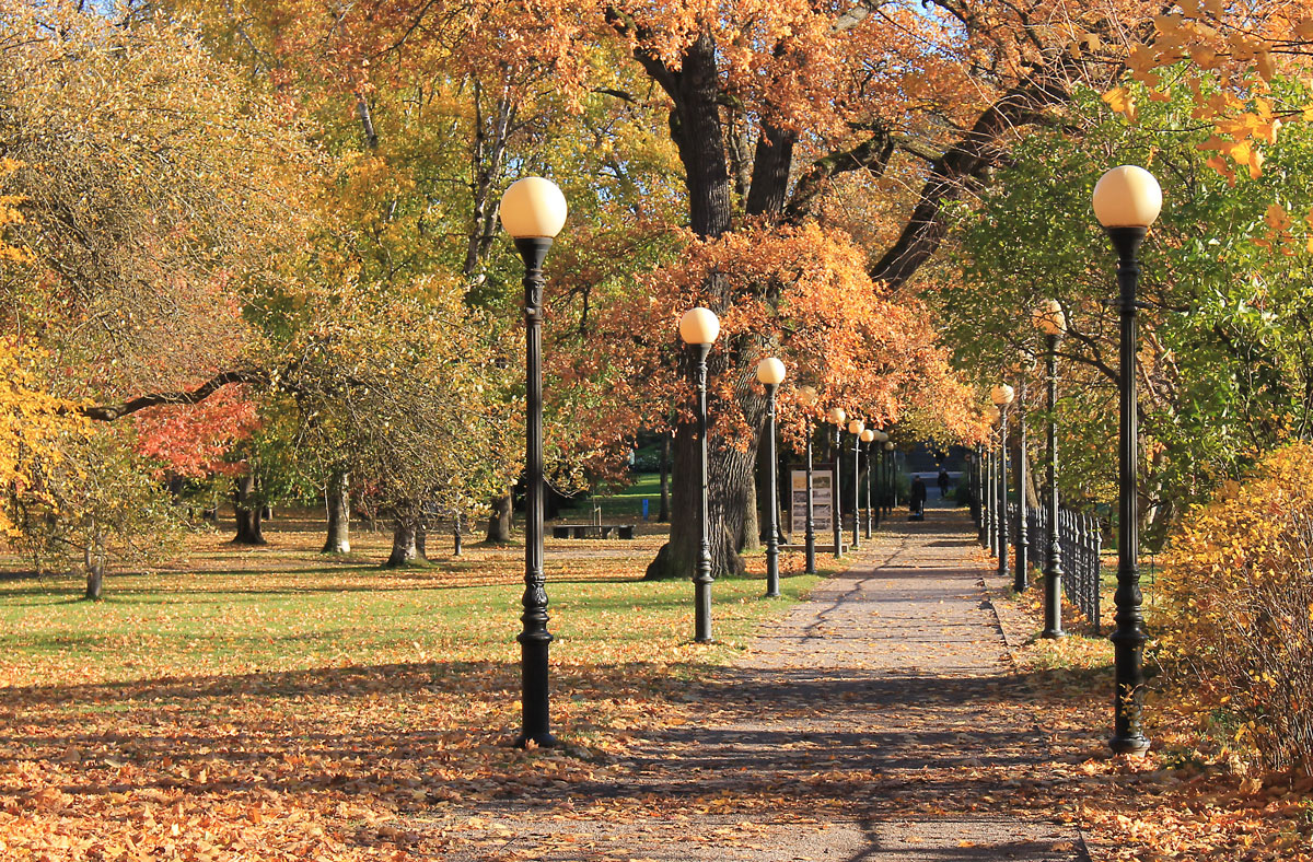 осень в кадриорге