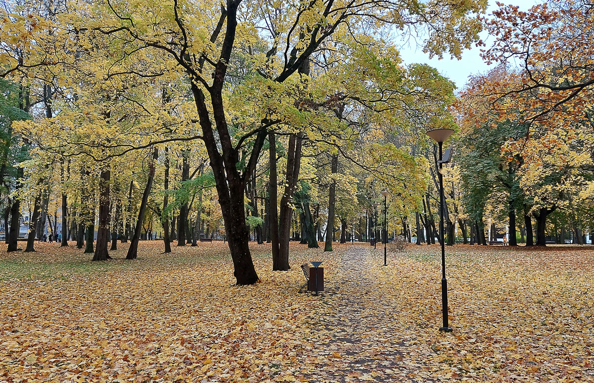 парк каламая