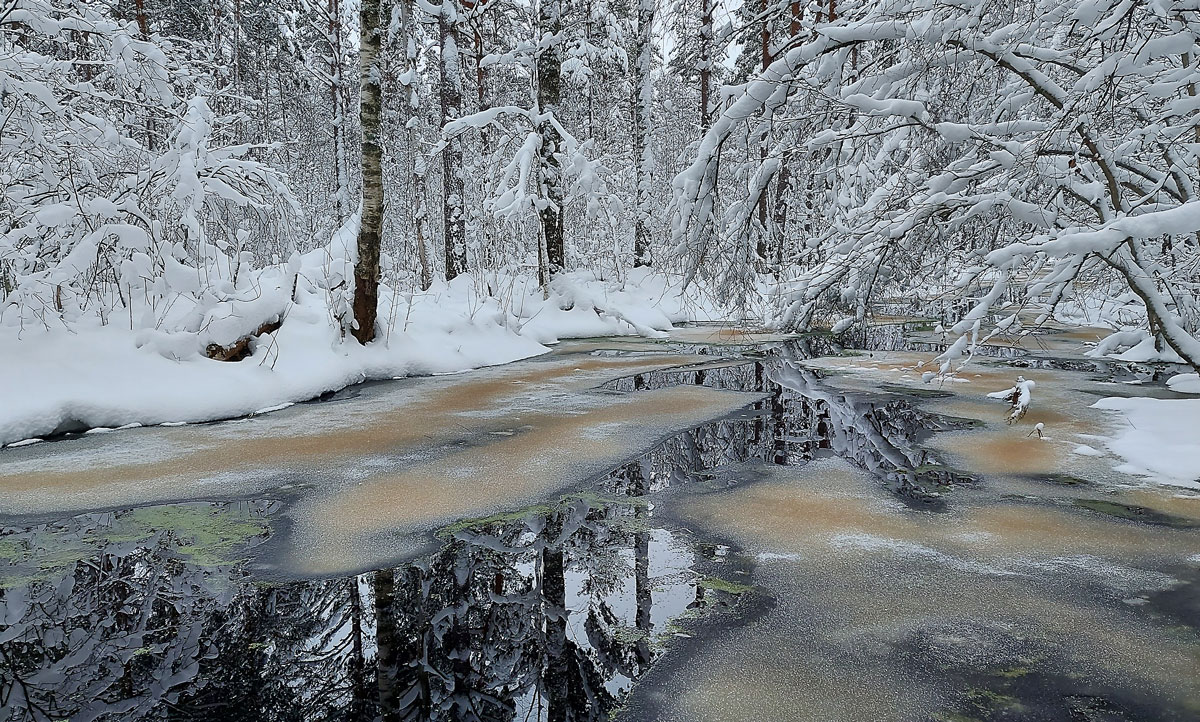 Pääsküla rava talvel