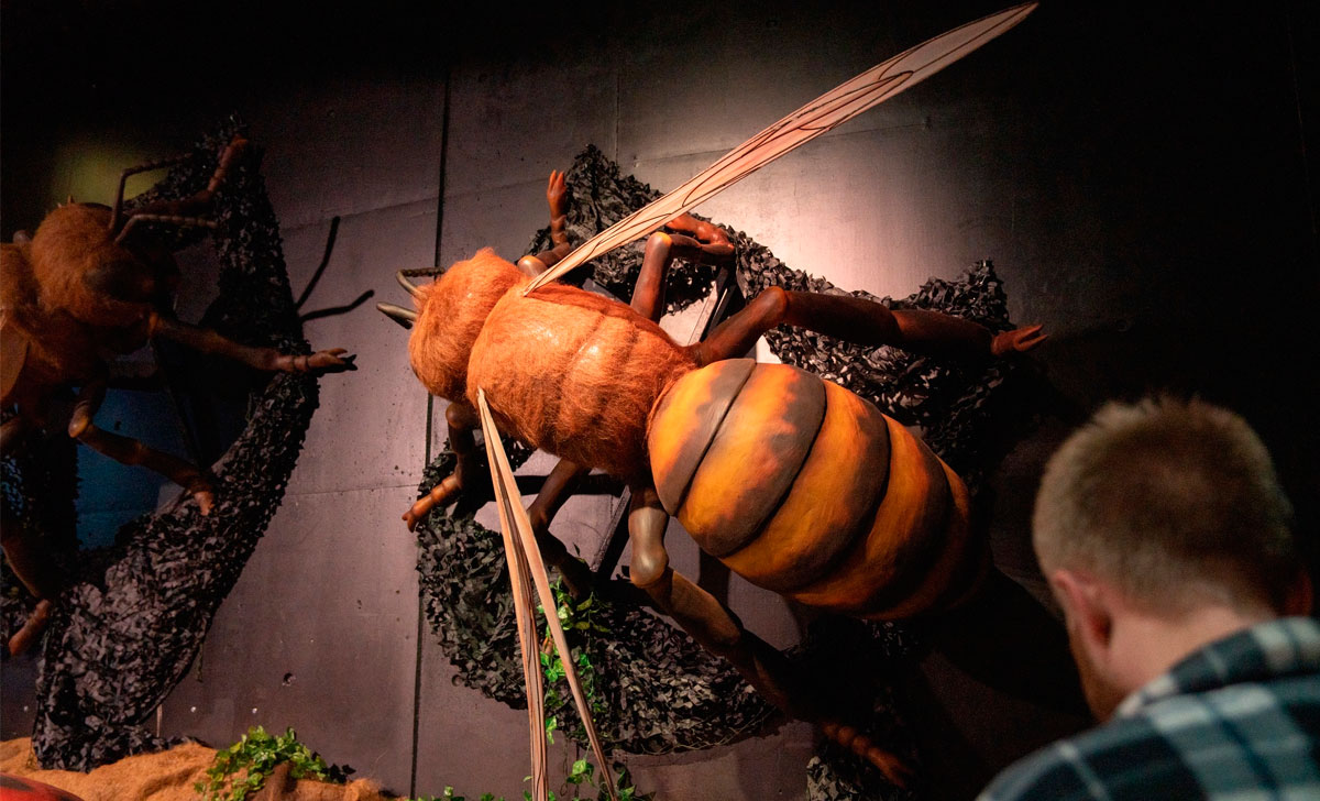 гигантские насекомые ahhaa