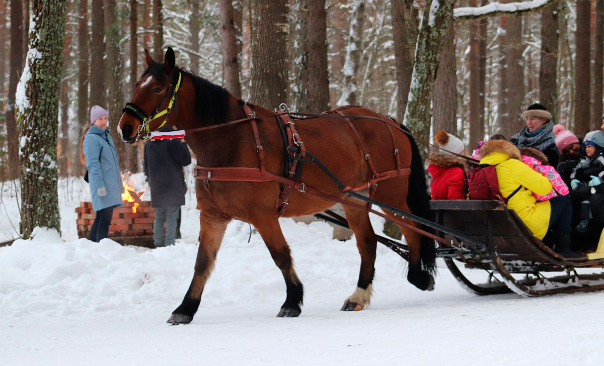 рождественская деревня музей под открытым небом