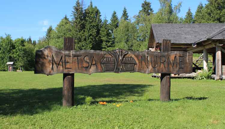 metsanurme-üksnurme ajaloo- ja õpperada