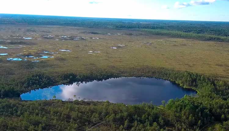 jalase matkarada raplamaa