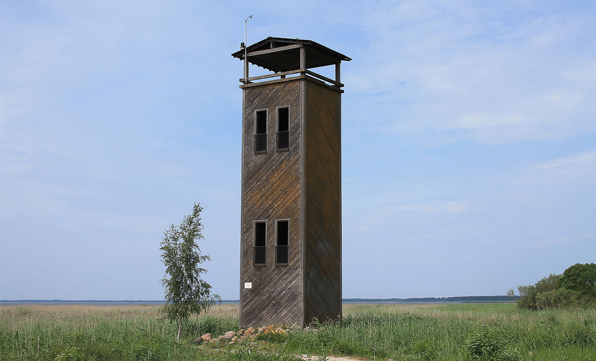 смотровая вышка йыэсуу