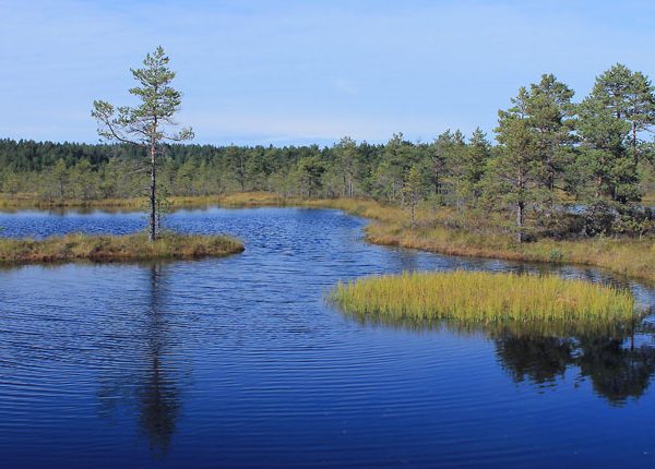 lahemaa rahvuspark