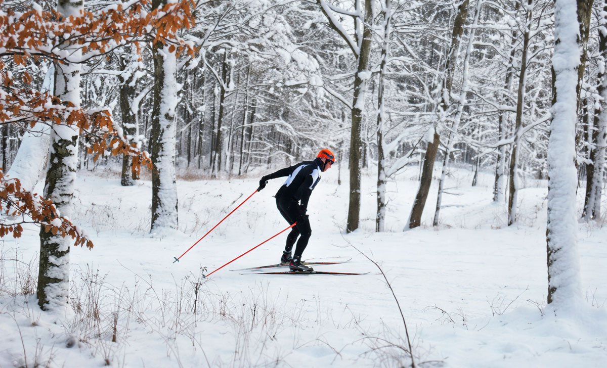 лыжные трассы таллин