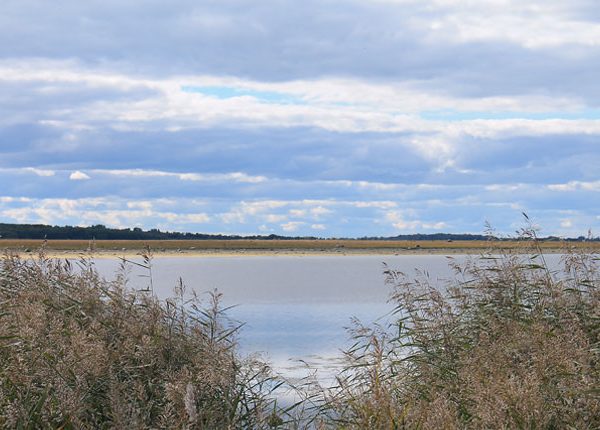 matsalu rahvuspark