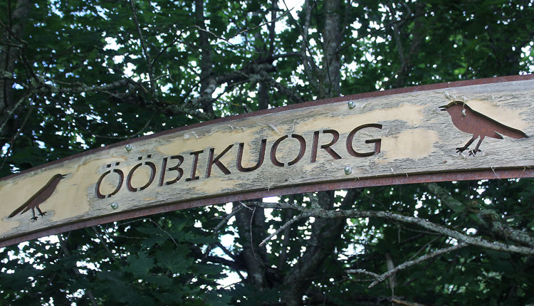 ööbikuorg võrumaal