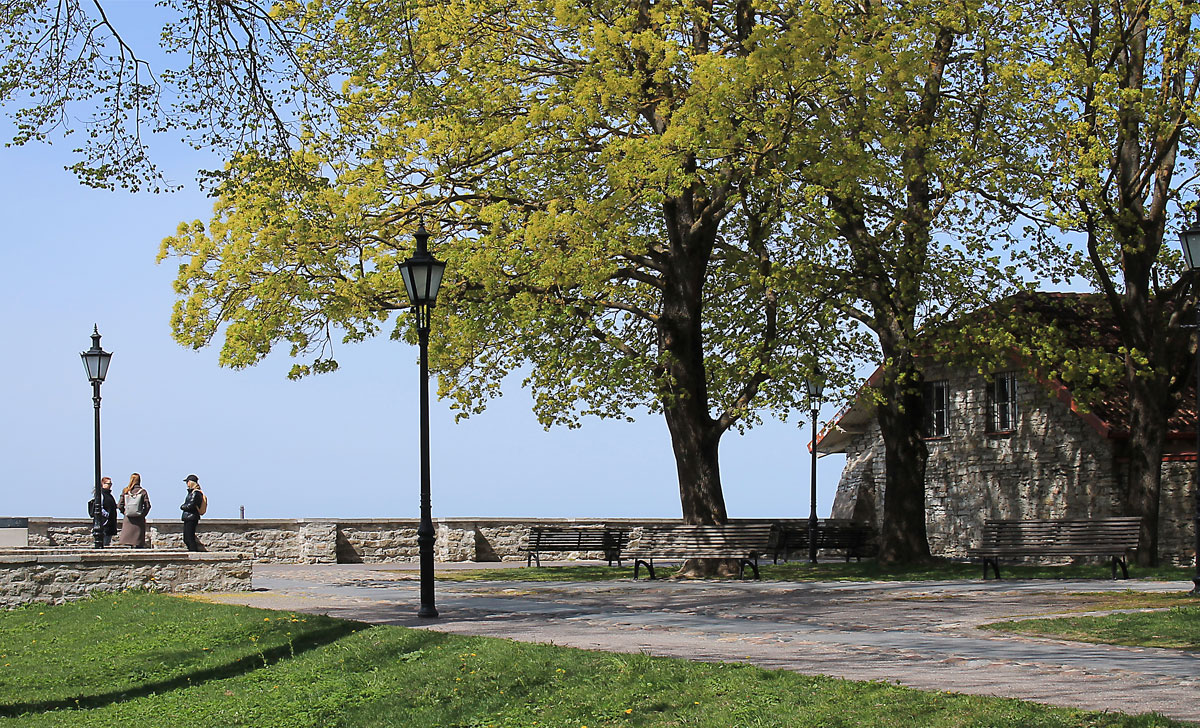 сад епископа в таллине