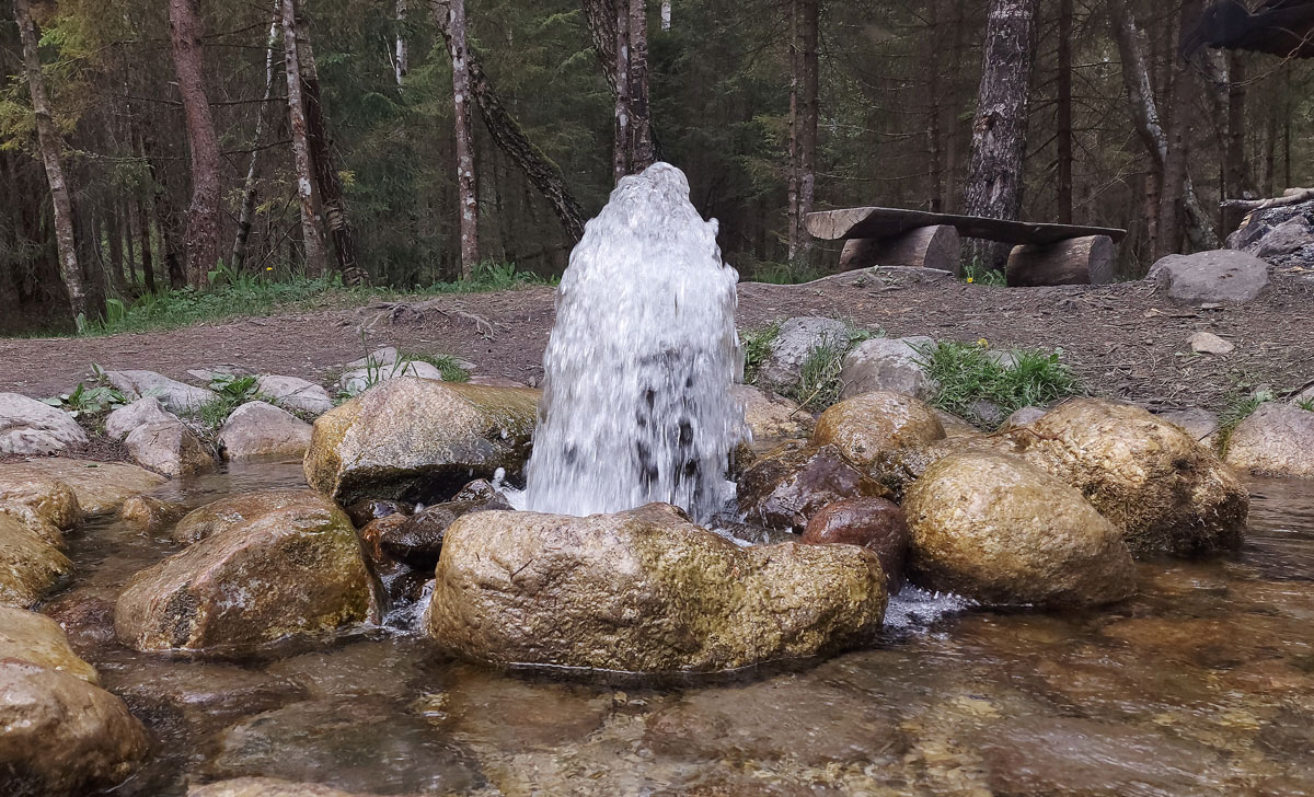 источник пурскава