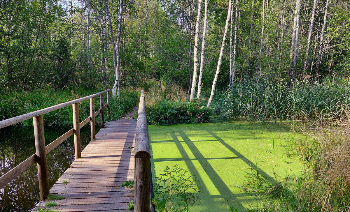 где погулять рядом с таллином